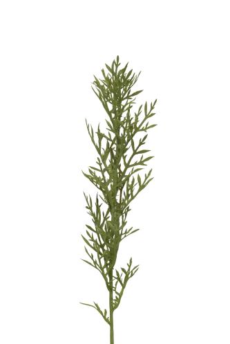 Kvist - Grønn - 65 cm - www.frokenfraken.se