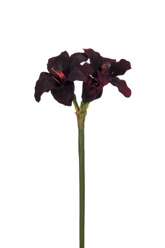 Amaryllis - Rød - 35 cm - www.frokenfraken.se