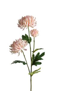 Krysantemum - Rosa - 60 cm - www.frokenfraken.se