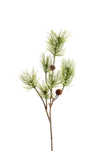 Tall - Grønn - 70 cm - 12 stk - www.frokenfraken.se