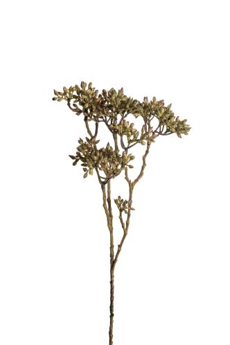 Bärkvist - Grønn - 45 cm - www.frokenfraken.se