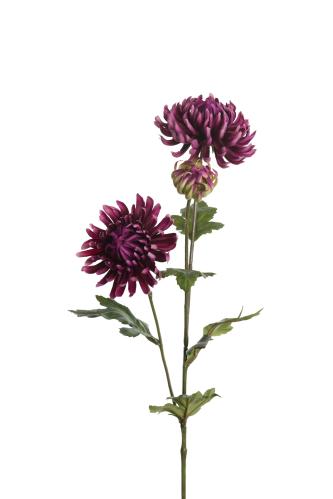 Krysantemum - Lilla - 60 cm - www.frokenfraken.se