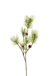 Tall - Grønn - 70 cm - 12 stk - www.frokenfraken.se
