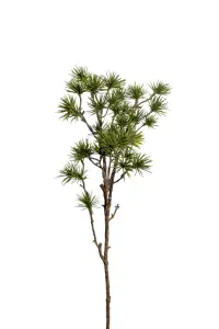 Lärk - Grønn - 60 cm - www.frokenfraken.se