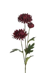 Krysantemum - Rød - 60 cm - www.frokenfraken.se