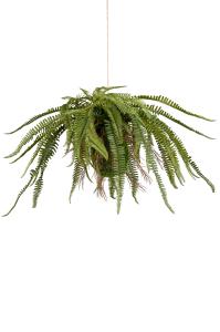 Ormbunke - Grønn - 60 cm - www.frokenfraken.se