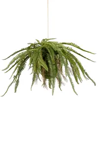 Ormbunke - Grønn - 60 cm - www.frokenfraken.se