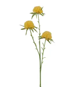 Amaranth - Gul - 60 cm - www.frokenfraken.se