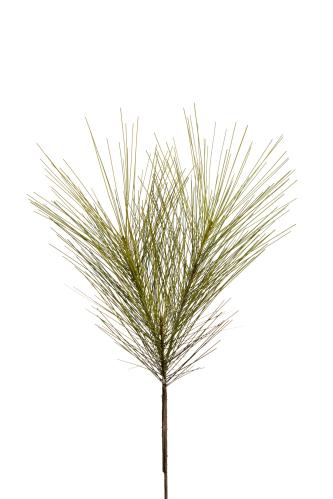 Tall - Grønn - 55 cm - www.frokenfraken.se