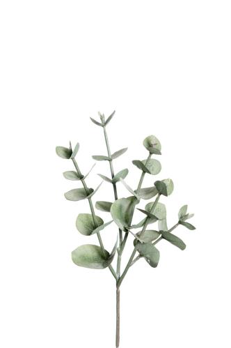 Eukalyptus - Grønn - 24 cm - www.frokenfraken.se