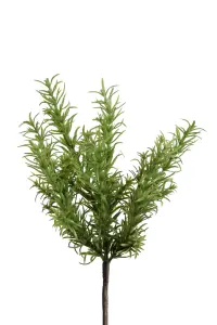 Rosmarin - Grønn - 25 cm - www.frokenfraken.se