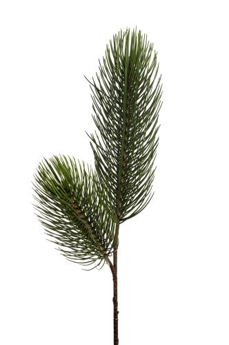 Tall - Grønn - 115 cm - www.frokenfraken.se