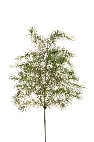 Barrkvist - Grønn - 75 cm - www.frokenfraken.se