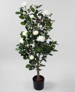 Rosenträd - Vit - 120 cm - www.frokenfraken.se