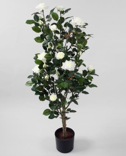 Rosenträd - Vit - 120 cm - www.frokenfraken.se