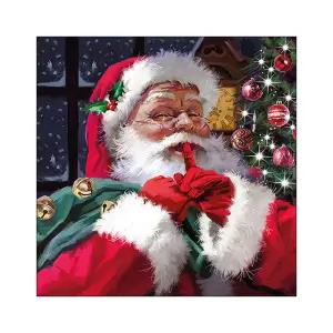 Serviett - Jul - Nisse - 33 x 33 cm - www.frokenfraken.se