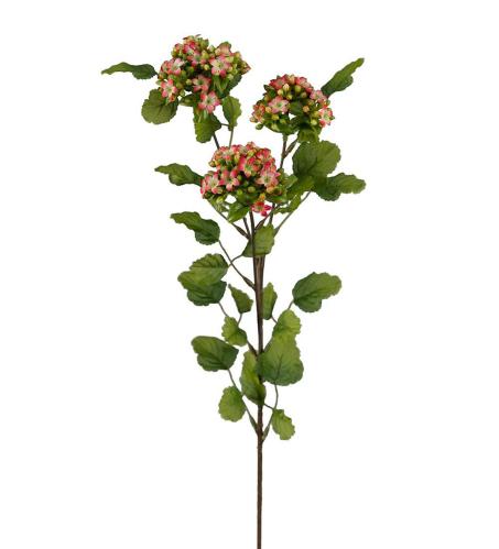 Calandiva - Rød - 65 cm - www.frokenfraken.se