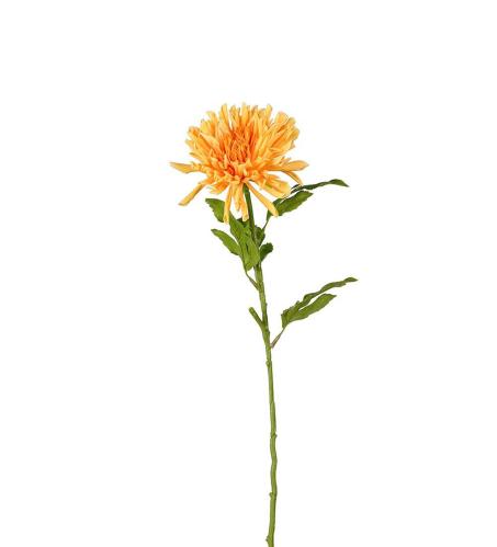 Krysantemum - Oransje - 60 cm - www.frokenfraken.se