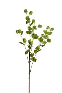 Humle - Grønn - 90 cm - www.frokenfraken.se