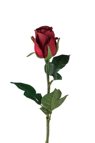 Ros - Rød - 50 cm - www.frokenfraken.se