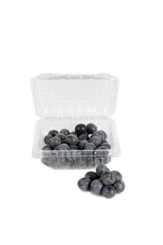 Blåbær - Størrelse som amerikanske blåbær - www.frokenfraken.se