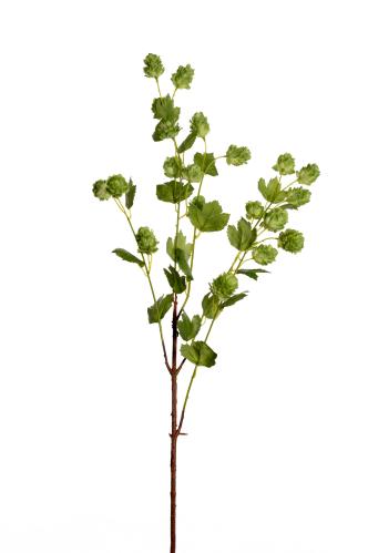 Humle - Grønn - 90 cm - www.frokenfraken.se