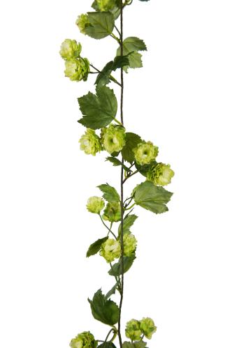 Humlegirlander - Grønn - 150 cm - www.frokenfraken.se