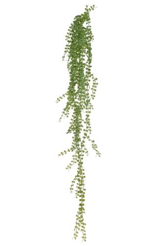 Sukkulent - Grønn - 90 cm - www.frokenfraken.se