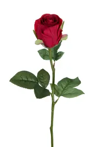 Ros - Rød - 50 cm - www.frokenfraken.se