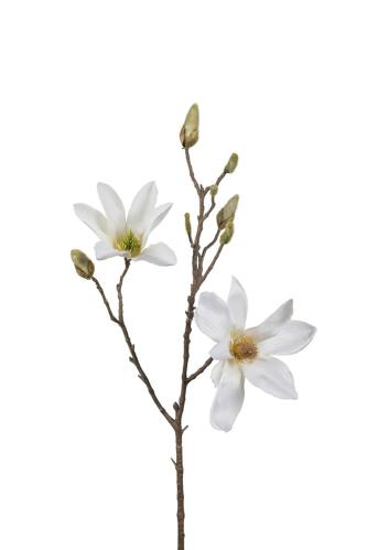 Magnolia - Hvit - 70 cm - www.frokenfraken.se