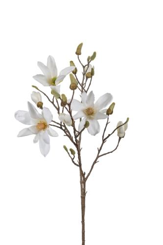 Magnolia - Hvit - 115 cm - www.frokenfraken.se