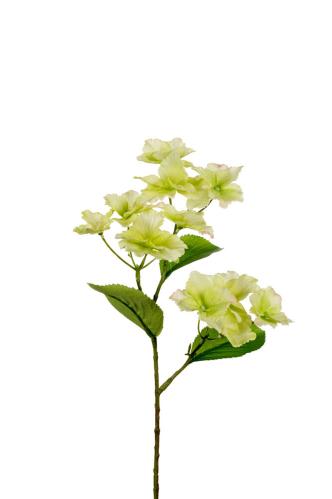 Hortensia - Grønn - 50 cm - www.frokenfraken.se