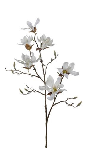Magnolia - Hvit - 100 cm - www.frokenfraken.se