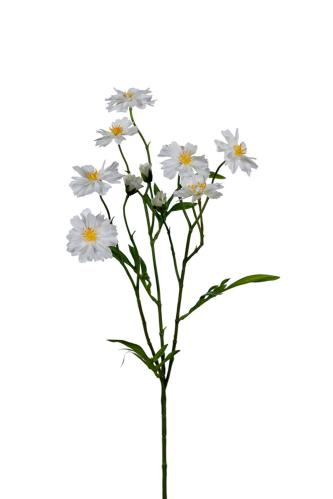 Rosenskær - Hvit - 50 cm - www.frokenfraken.se