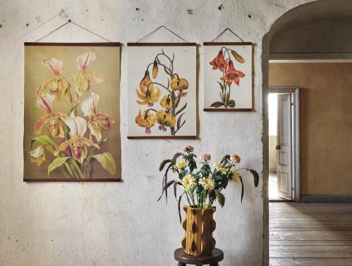 Plakat – Martagonlilje – 50 x 70 cm - www.frokenfraken.se