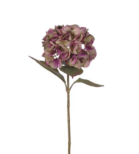 Hortensia - Lilla - 65 cm - www.frokenfraken.se