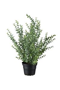 Eukalyptus - Grønn - 40 cm - www.frokenfraken.se