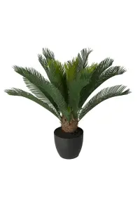 Cycas - Grønn - 70 cm - www.frokenfraken.se