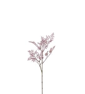 Limonium - Lilla - 45 cm - www.frokenfraken.se