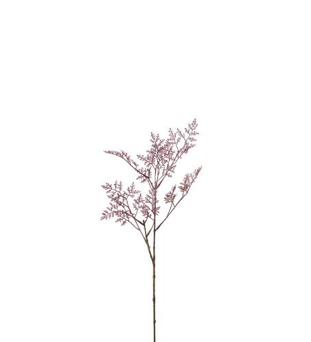 Limonium - Lilla - 45 cm - www.frokenfraken.se