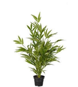 Bambu - Grønn - 60 cm - www.frokenfraken.se