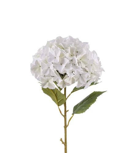Hortensia - Hvit - 110 cm - www.frokenfraken.se