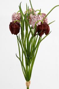 Frittilaria - Rød - 40 cm - www.frokenfraken.se