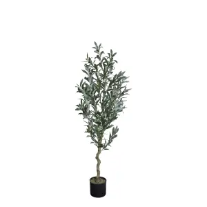Oliventre – 132 cm - www.frokenfraken.se