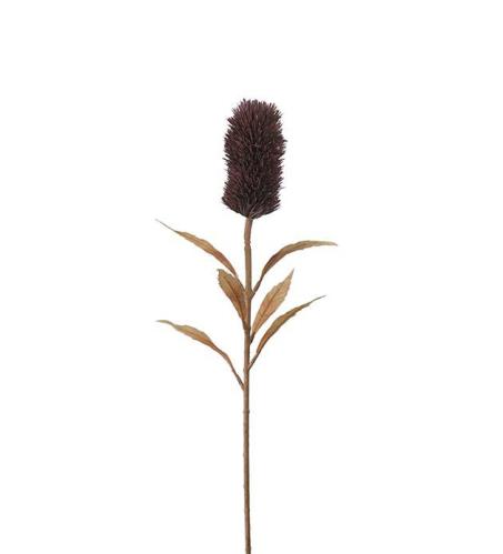 Banksia - Burgunder - 75 cm - www.frokenfraken.se
