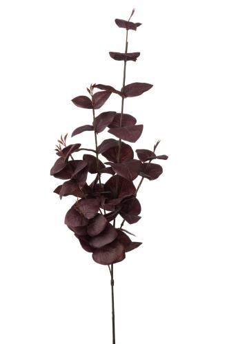 Eukalyptus - Rød - 75 cm - www.frokenfraken.se