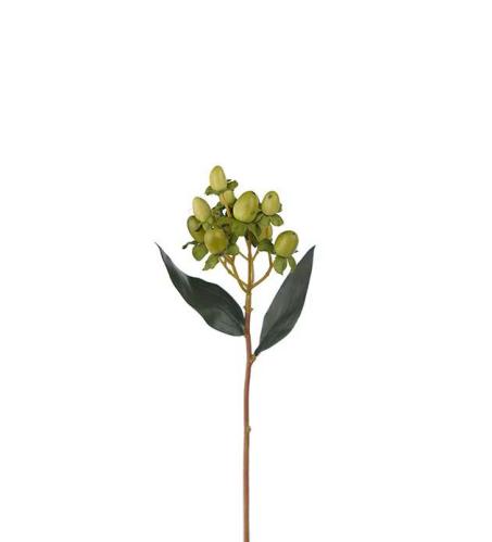 Bärkvist - Hypericum - Grønn - 28 cm - www.frokenfraken.se