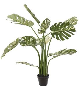 Monstera - Grønn - 110 cm - www.frokenfraken.se