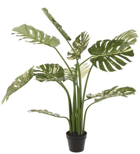 Monstera - Grønn - 110 cm - www.frokenfraken.se