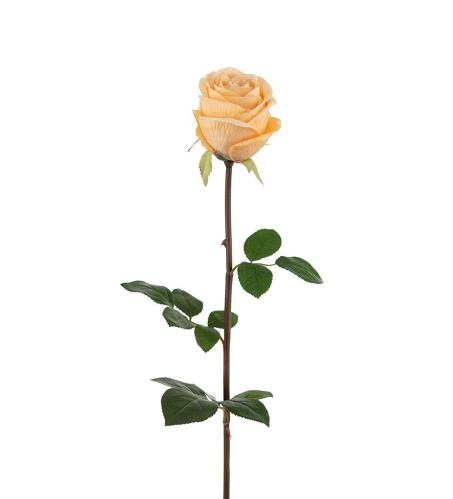 Rosa Rose - Rose - 75 cm - www.frokenfraken.se